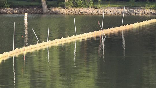 At shetek: A project with many purposes