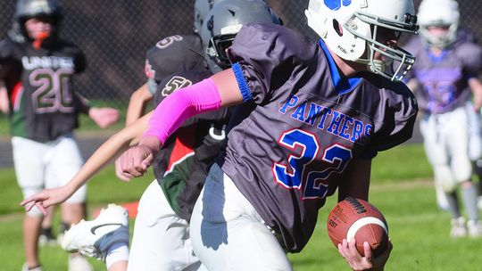 Cubs in action