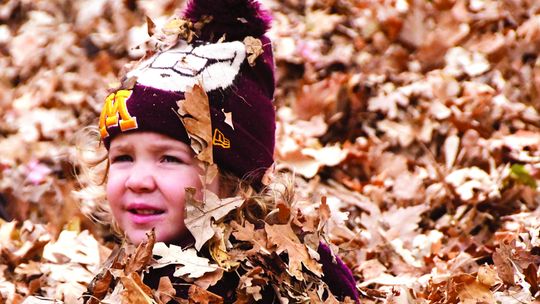 FALL (& LEAVES) WERE IN THE AIR