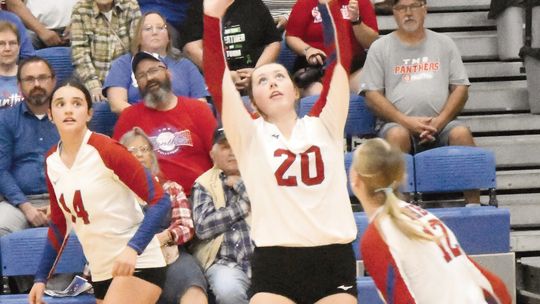 No. 1 Vikings sweep Panthers
