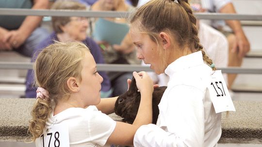 Plaetz family devoted to rabbits