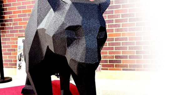 Proudly on the Prowl