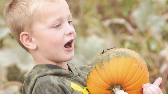 Pumpkin paradise!