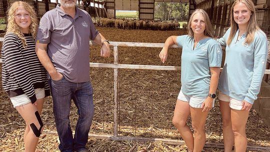 This family is not sheepish about hard work