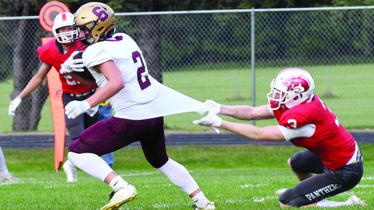 TIGERS DO IT AGAIN TO PANTHERS