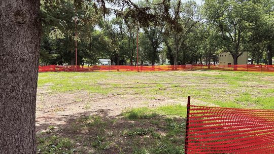 Wanted: Playground Posse