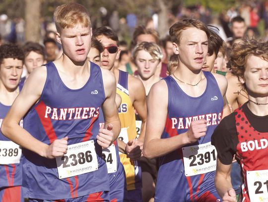 CROSS COUNTRY TEAM WRAPS UP SEASON AT SECTION MEET