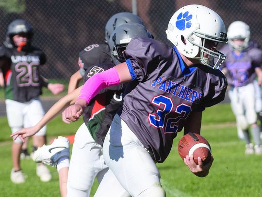 Cubs in action