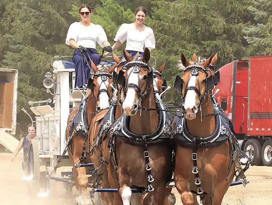 Experience the thrill of the Murray County Classic Draft Horse Show July 11-13