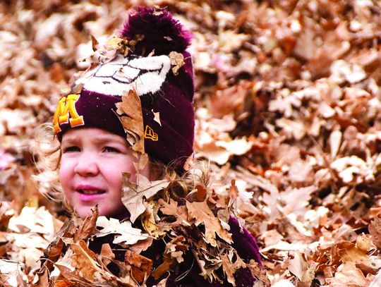 FALL (& LEAVES) WERE IN THE AIR