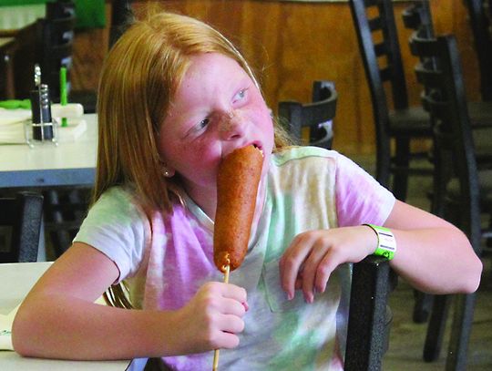 Images from The Lyon County fair