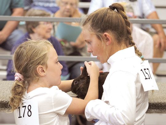 Plaetz family devoted to rabbits