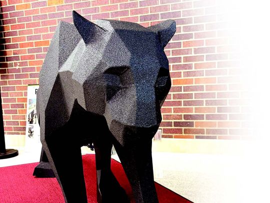 Proudly on the Prowl