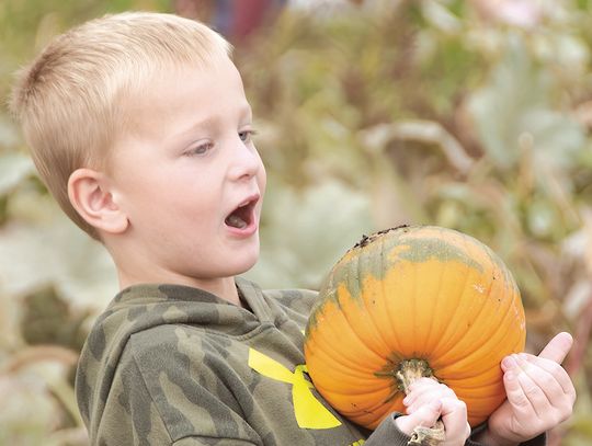 Pumpkin paradise!