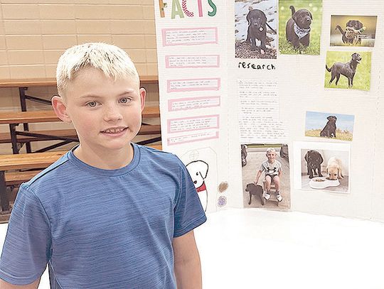 SMS science fair