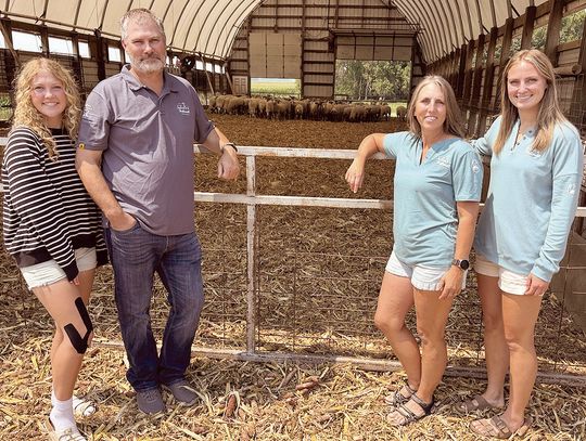 This family is not sheepish about hard work