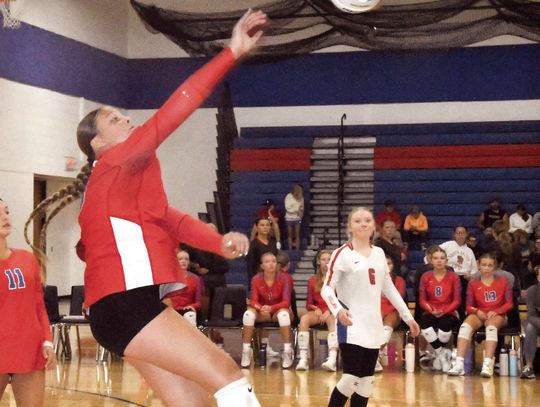 TMB in action on the court