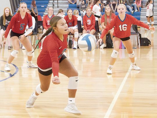 Volleyball jamboree