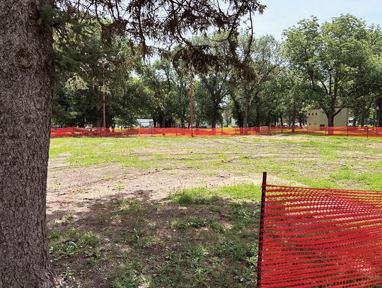 Wanted: Playground Posse