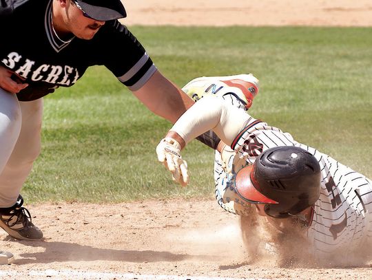YANKS TRIPPED UP BY TIGERS