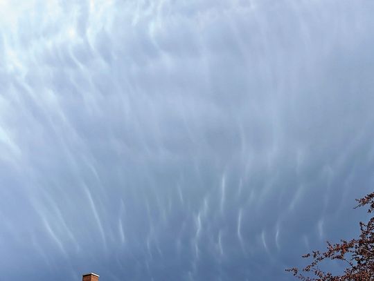 Your Weather