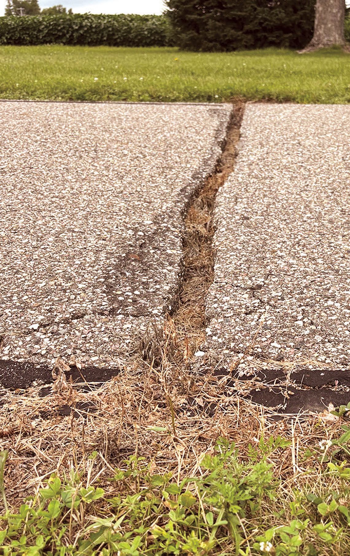 City bike path project hasn’t fallen through the cracks