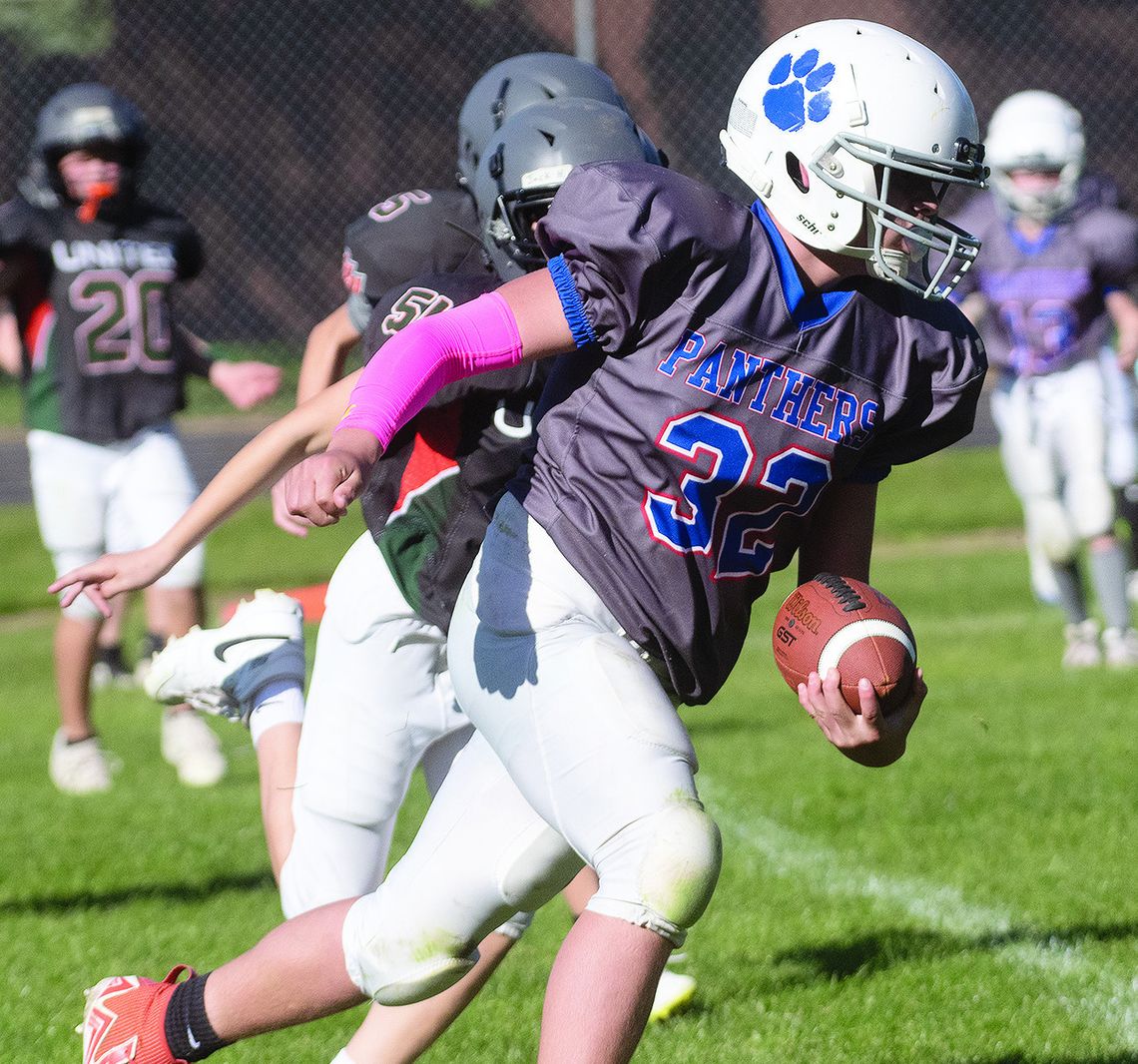 Cubs in action