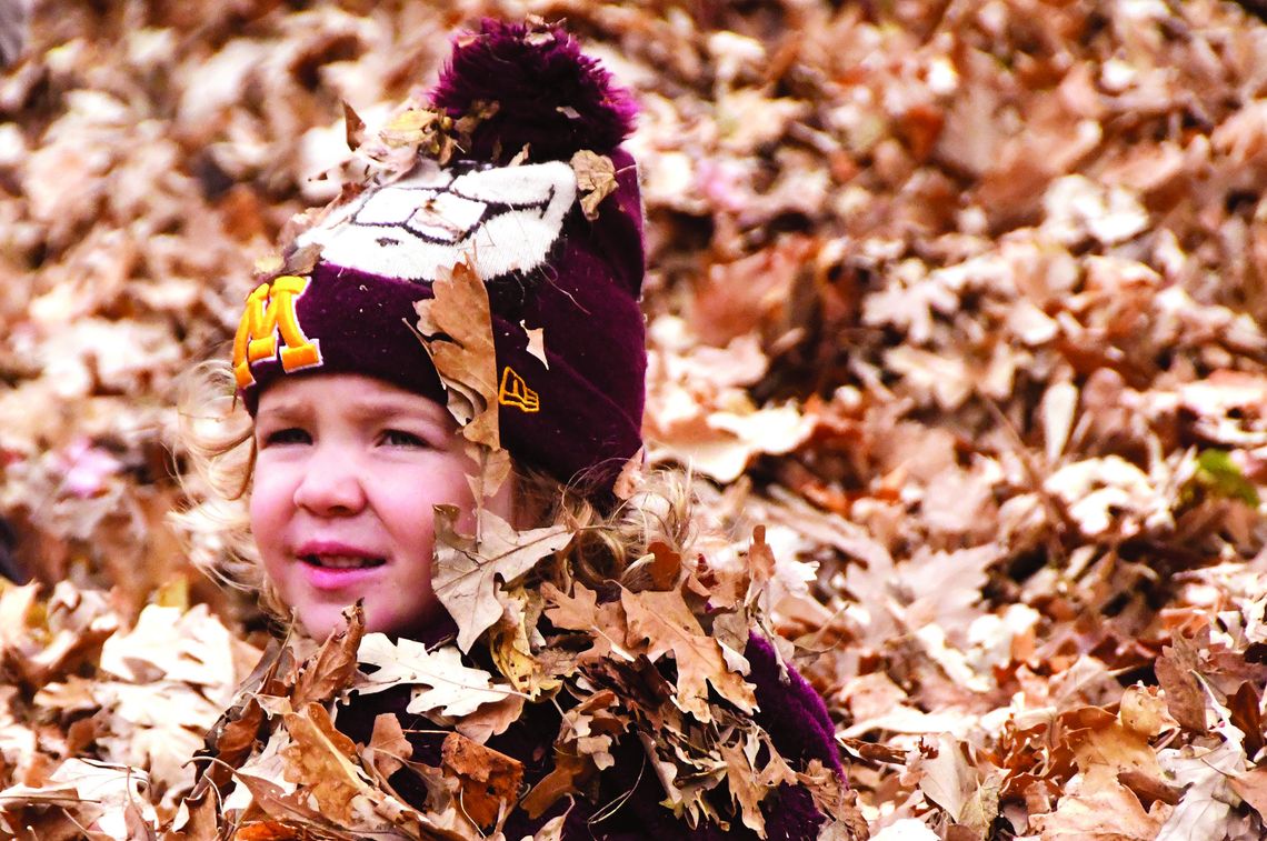 FALL (& LEAVES) WERE IN THE AIR