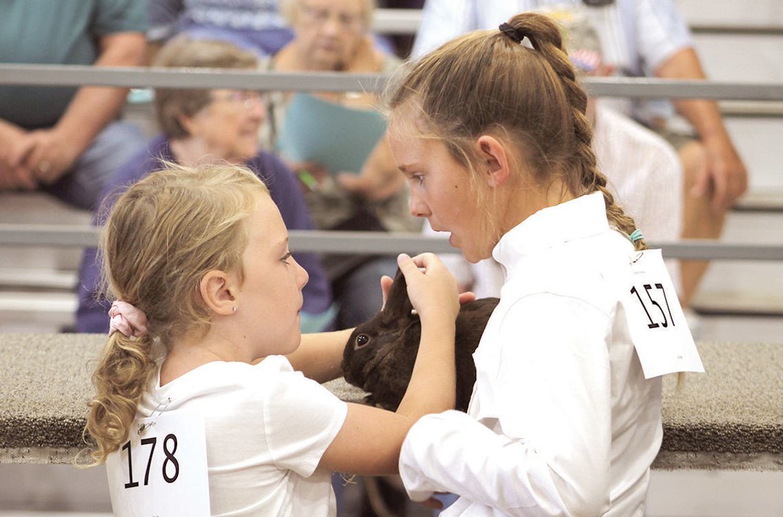Plaetz family devoted to rabbits