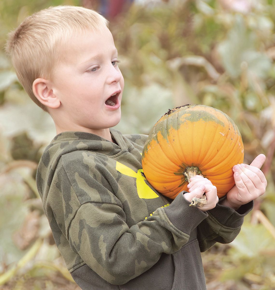 Pumpkin paradise!