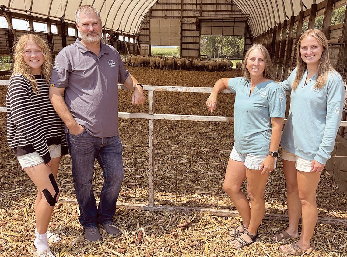 This family is not sheepish about hard work This family is not sheepish about hard work