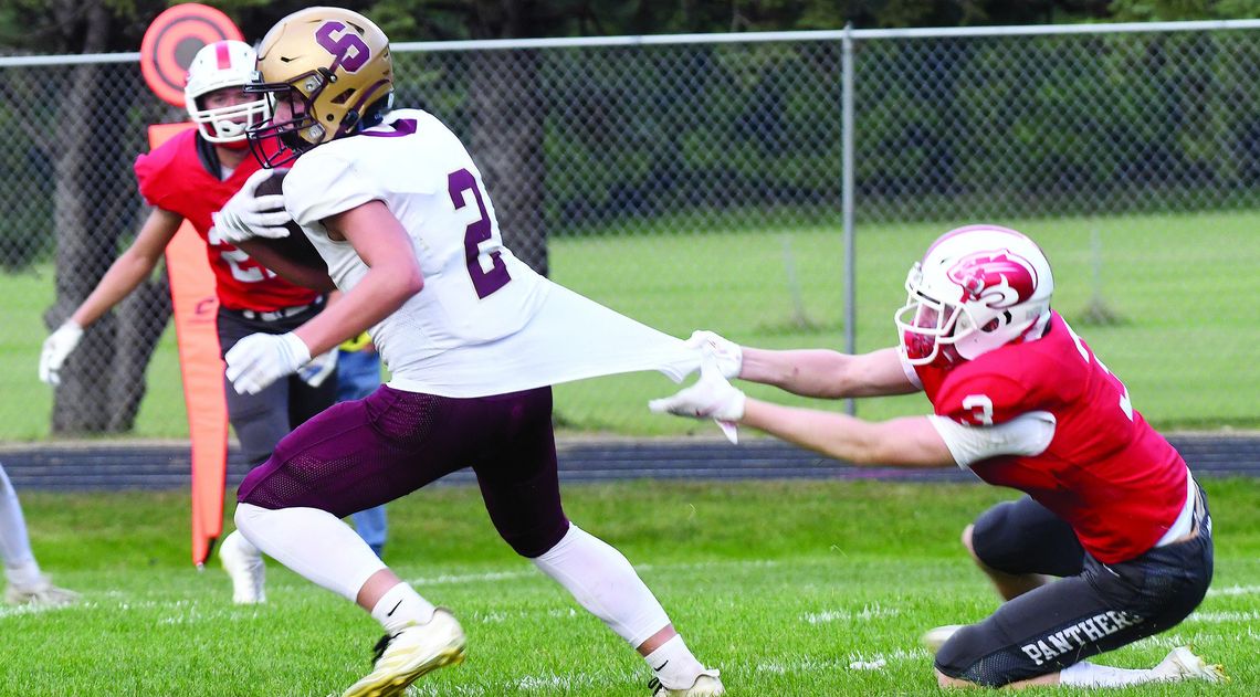 TIGERS DO IT AGAIN TO PANTHERS